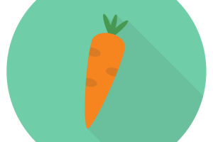 1 Person - Menü Vegetarisch